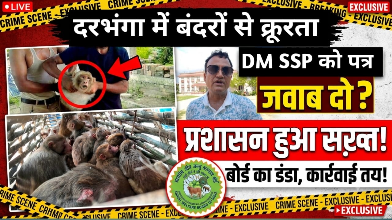 दरभंगा में बंदर को क्रूरता से पकड़ने का मामला पहुंचा भारतीय जीव जंतु कल्याण बोर्ड 